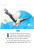 Symbols of sovereign Belarus Symbols of sovereign Belarus